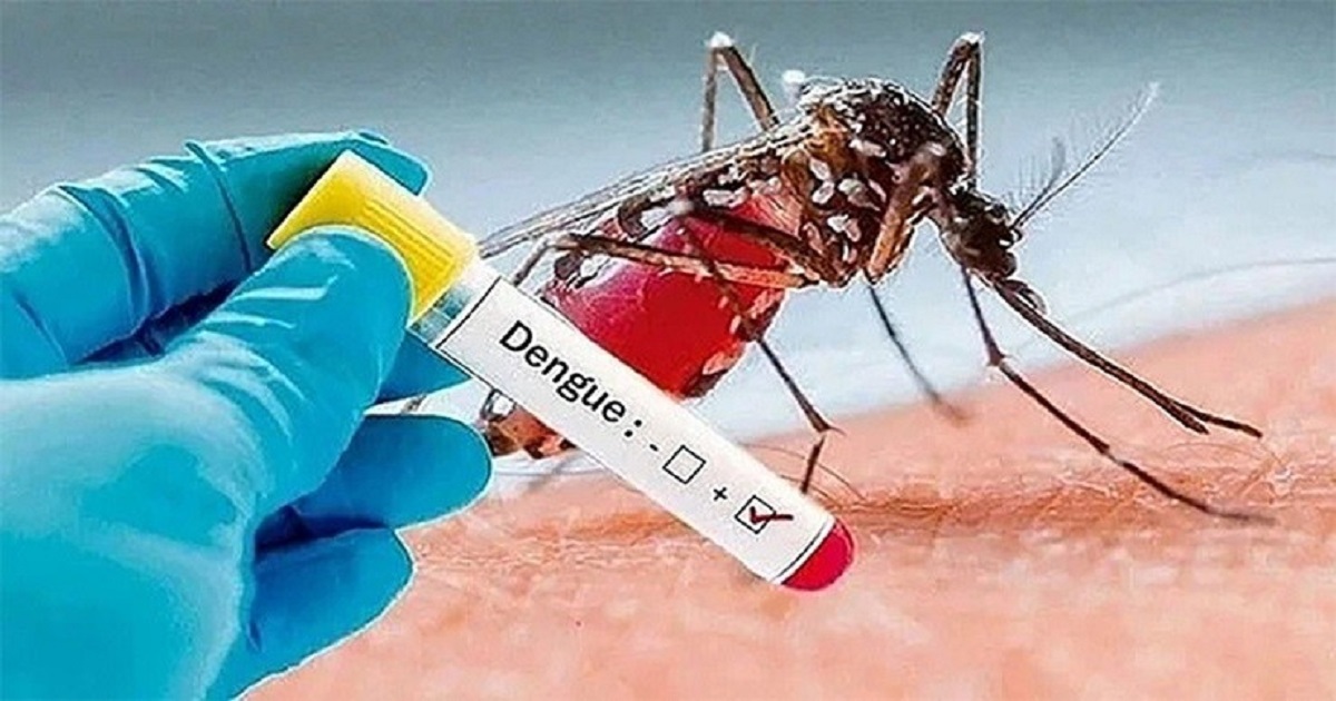 ডেঙ্গুতে ৩ জনের মৃত্যু