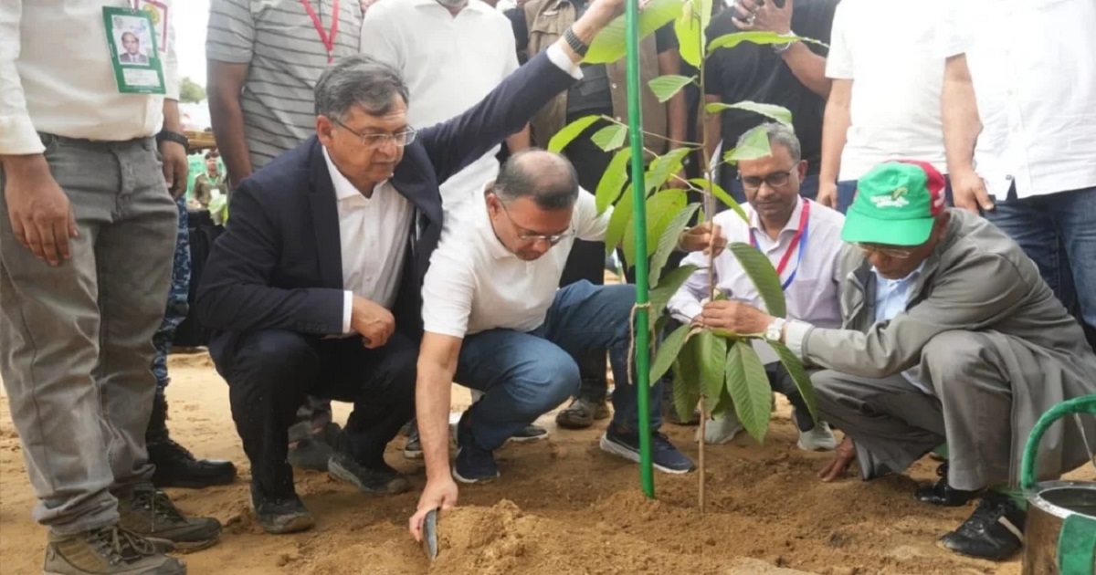 দেশব্যাপী ২৫ কোটি বৃক্ষরোপণ কর্মসূচির উদ্বোধন করলেন প্রধানমন্ত্রী